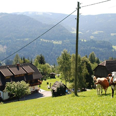 Ferienwohnung Lahnerhof Arriach Ngoại thất bức ảnh